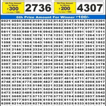 Lottery Result Today December 13, 2025