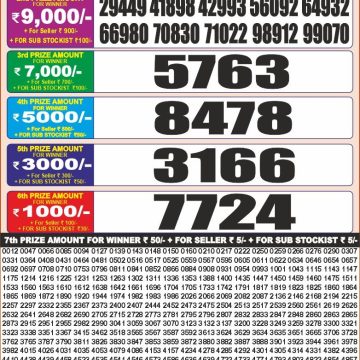 Lottery Result Today 24.02.26