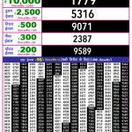 Lottery Result Today 07.03.26