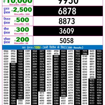 Lottery Result Today 20.06.26