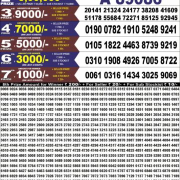 Lottery Result Today 11.08.26
