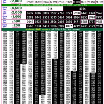 Lottery Result Today 13.08.26