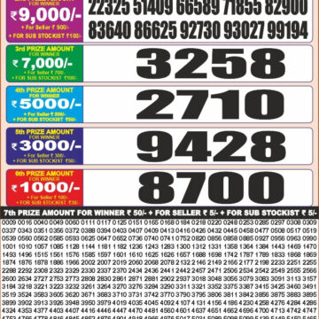 Lottery Result Today 25.08.26