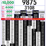 04-09-26 Rajshree Lottery 8 PM Result Today Lottery Result Today 04.09.26