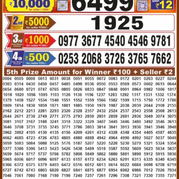 Lottery Result Today 20.09.26