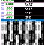 20-10-26 Rajshree Night Weekly 9 PM Result Today Lottery Result Today 20.10.26