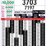 20-10-26 Rajshree Lottery 8 PM Result Today Lottery Result Today 20.10.26